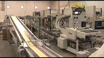 RIMA-SYSTEM Short run, log stacking & robot palletizing, S4000