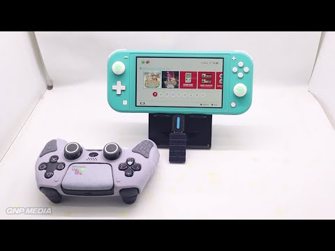Using PS5 Controller On Nintendo Switch Lite - 8BitDo Wireless USB Adapter 2 - Dobe Folding Stand