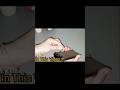 #kitchentipsandtricks #kitchentips #trendingvideo #trendingshorts #hacks#tips#tricks