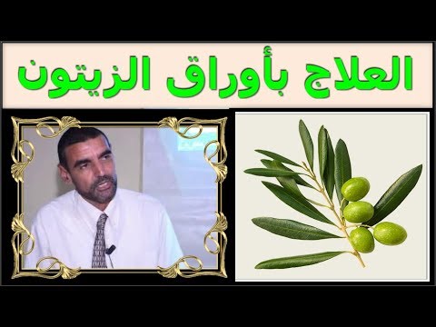 فوائد أوراق الزيتون في الوقاية من الأمراض وحتى العلاج منها د محمد الفايد   