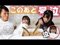 【号泣】夜ごはんに生きたエビを出したら大変なことになりました!!😱