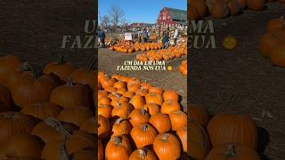 Um Dia Em Uma Fazenda Nos Eua