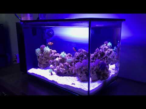 Nicrew Hyper Reef 50 Watt Marine Light, 59% OFF