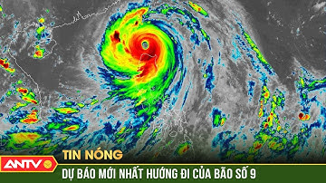 Siêu bão số 9 Ragasa giật trên cấp 17, dự báo vùng chịu ảnh hưởng mạnh | ANTV
