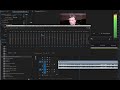 Adobe Premier Pro CC Удаление шумов с помощью 30-ти полосный эквалайзер