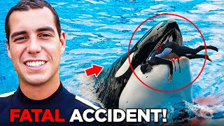 The TERRIFYING Last Minutes of Orca Trainer Alexis Martinez