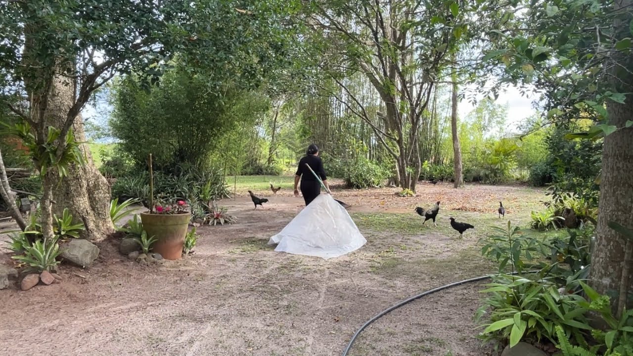 Jardim um oasis de calma e tranquilidade para alma
