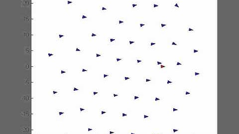 Simulation of 2D flocking - alignment