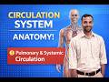 Human Anatomy for Human Heart Circulation Explained Medical Coding Beginners,Medical Coding Training
