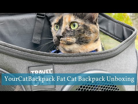 Unboxing Our New Travel Cat Backpack by Your Cat Backpack