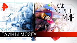 Тайны мозга. "Как устроен мир" с Тимофеем Баженовым (31.05.19).