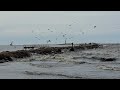 Riga. Мол. Волны плещут и чайки кружат. Рыбаки рыбачат, всё прилагается к морскому пейзажу.