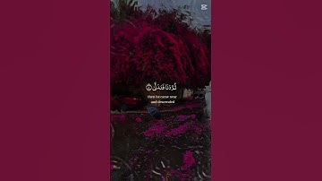 اكتب شيء تؤجر عليه 🤍سورة النجم 🤍إسلام صبحي