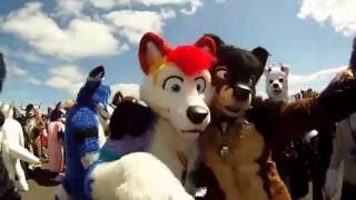 Confuzzled 2013