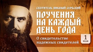 О свидетельстве надежных свидетелей. Святитель Николай Сербский. Поучения на каждый день года