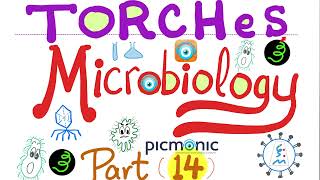 TORCHeS infections  Toxoplasma, Others, Rubella, CMV, Herpes, HIV, Syphilis  Picmonic Micro (#14)