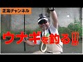 ウナギを釣る‼