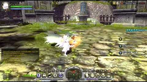 Dragon Nest - test mod in nest