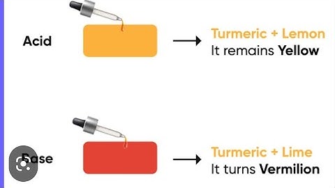 Acid And Base test by turmeric #science #shorts #fun #vvm #ncert #activity #slc #Est #ytshorts
