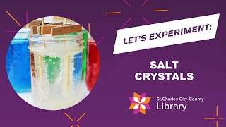 Science for Kids: Salt Crystals