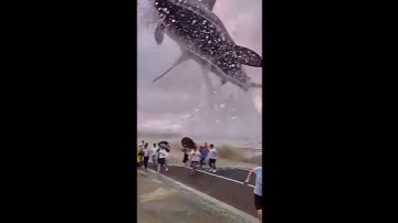 MEGALODON SHARK in real life #shorts #viral #discovery