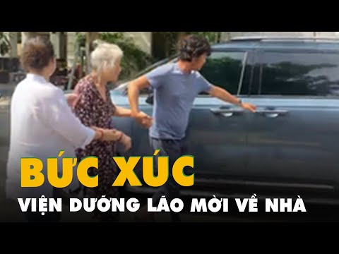 Video: Chó vẫn ở nhà dưỡng lão