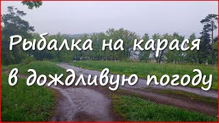 Стоит ли идти на рыбалку в дождь. Карась на фидер.