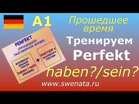 А1/А2 Тренируем Perfekt в упражнениях haben/sein
