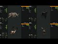 Call of the wild montage 1! | The Hunter Call of the Wild
