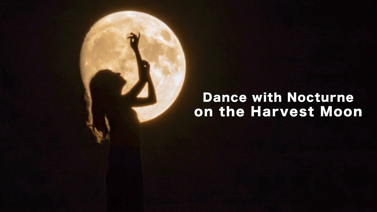 今年はベランダでスーパームーンを撮ろう - とあるビデオグラファーの