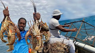 I’ve Never Seen This Many Lobsters Before… And They’re HUGE! 🦞😮
