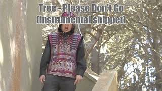 Tree - Please Don't Go (instrumental snippet)