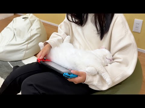 猫クッションを抱くとゲームをしてる時も快適です！