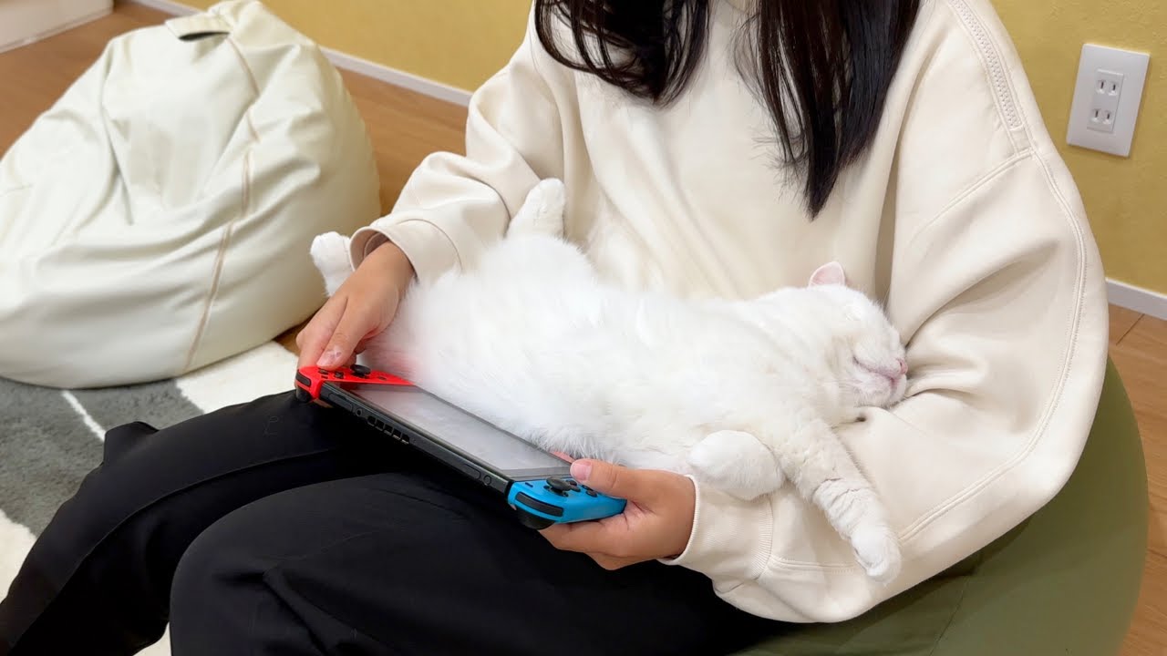 ENG) Hug the cat cushion, it'll keep us comfy while we play the