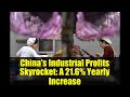 China's Industrial Profits Skyrocket: A 21.6% Yearly Increase