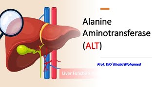 Alanine Aminotransferase (ALT). #liver_disorders #hepatitis #gpt