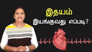 Circulatory System - How Heart Works? (Tamil)
