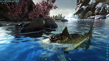 Alpha Megalodon Beaches Itself - Ark