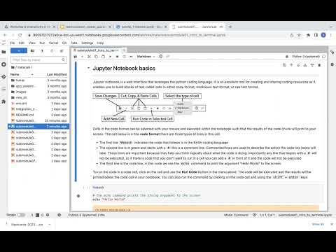 Introduction to Jupyter Notebooks in GCP Using Vertex AI - Fundamentals of Bioinformatics (2 of 6)
