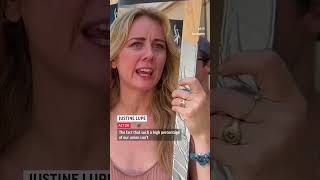 Succession Stars Alan Ruck And Justine Lupe On The Picket Lines.