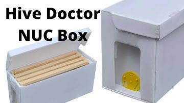 Hive Doctor Corflute NUC Box - A Closer Look - What is it Used For? - Beginner Bee Keeping