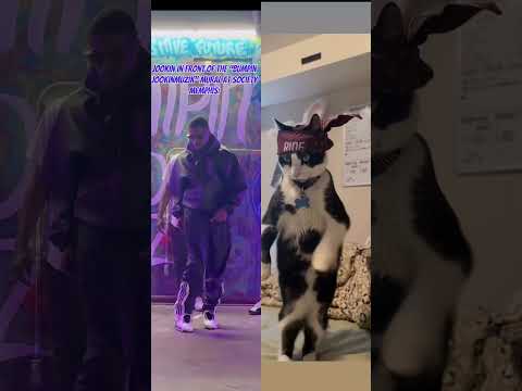 “G-Cat” Bumpin JookinMuzik Mane‼️🔥 #memphis #dance #hiphop #music Song : “Gett Buck Jookin Mix”