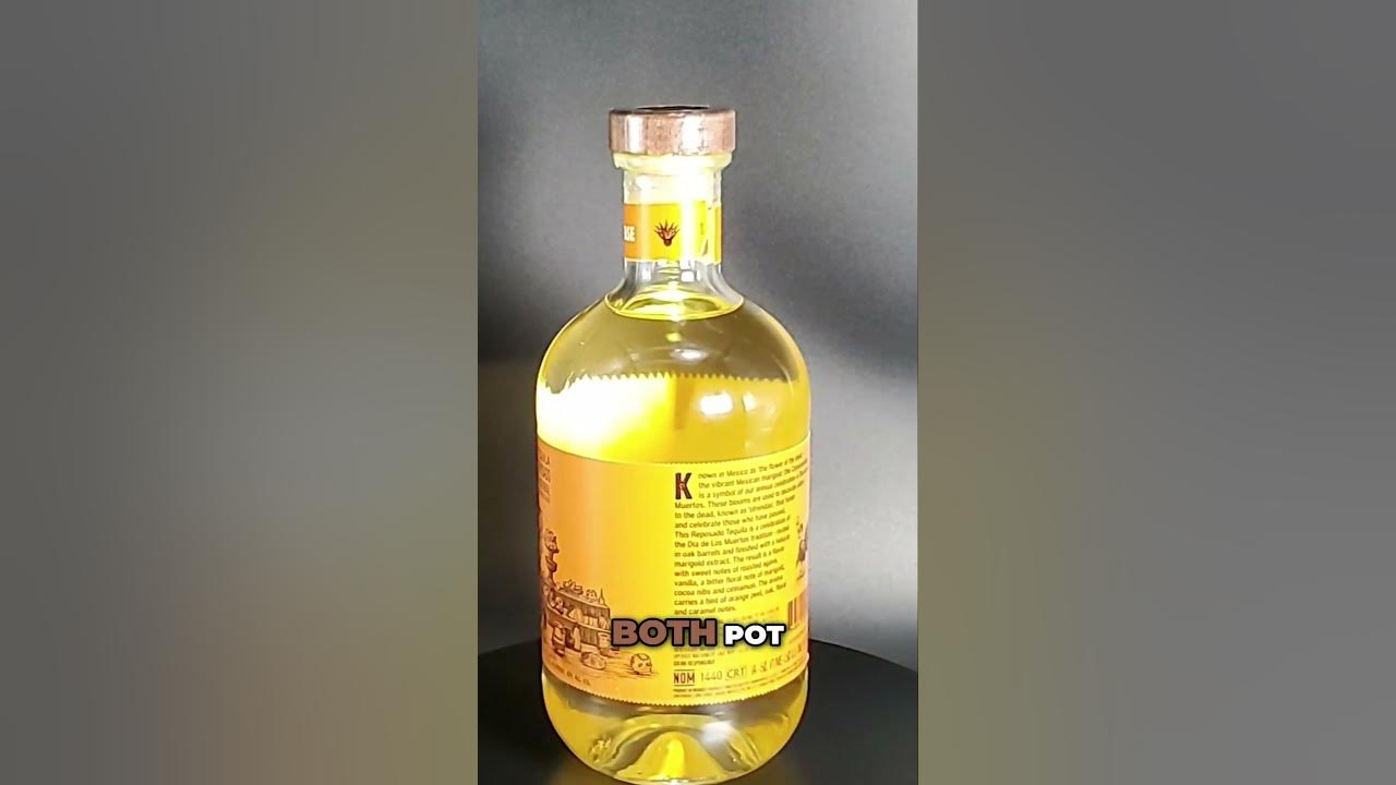 Discover Tequila: Aged, Unique, and Serenaded with Music!