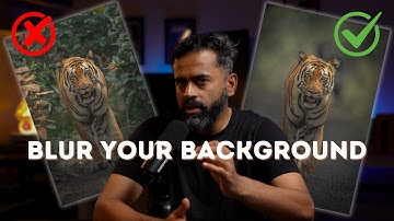 How to Get a Blurry Background in Wildlife Photography (Beginner’s Guide to Bokeh)