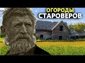 ДАЧНИКИ ПУСТИЛИ НА ОГОРОД СТАРОВЕРОВ. НАХОДКА СТОИМОСТЬЮ 23000 РУБЛЕЙ. Коп поиск монет 2021