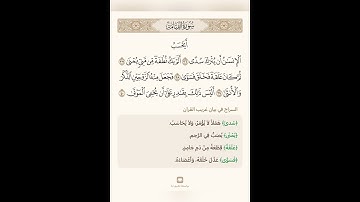 بيان غريب القران سورة سورة القيامة 4 تلاوة الشيخ سعد الغامدي
