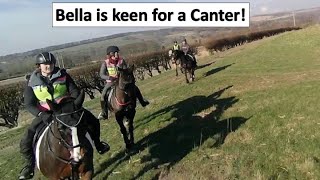 Two good canters, a happy Bella &amp; everyone in control of their horses. Bella  worried at big object😳