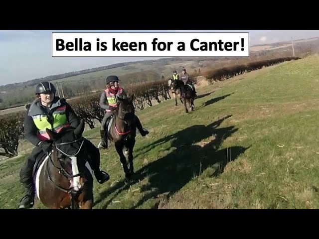 Two good canters, a happy Bella & everyone in control of their horses. Bella  worried at big object😳