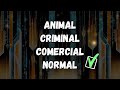 Palabras para Improvisar Rap Boom Bap | Practicar Freestyle Rap Boom Bap Base