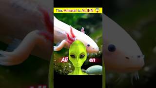 Is This Animal Alien?